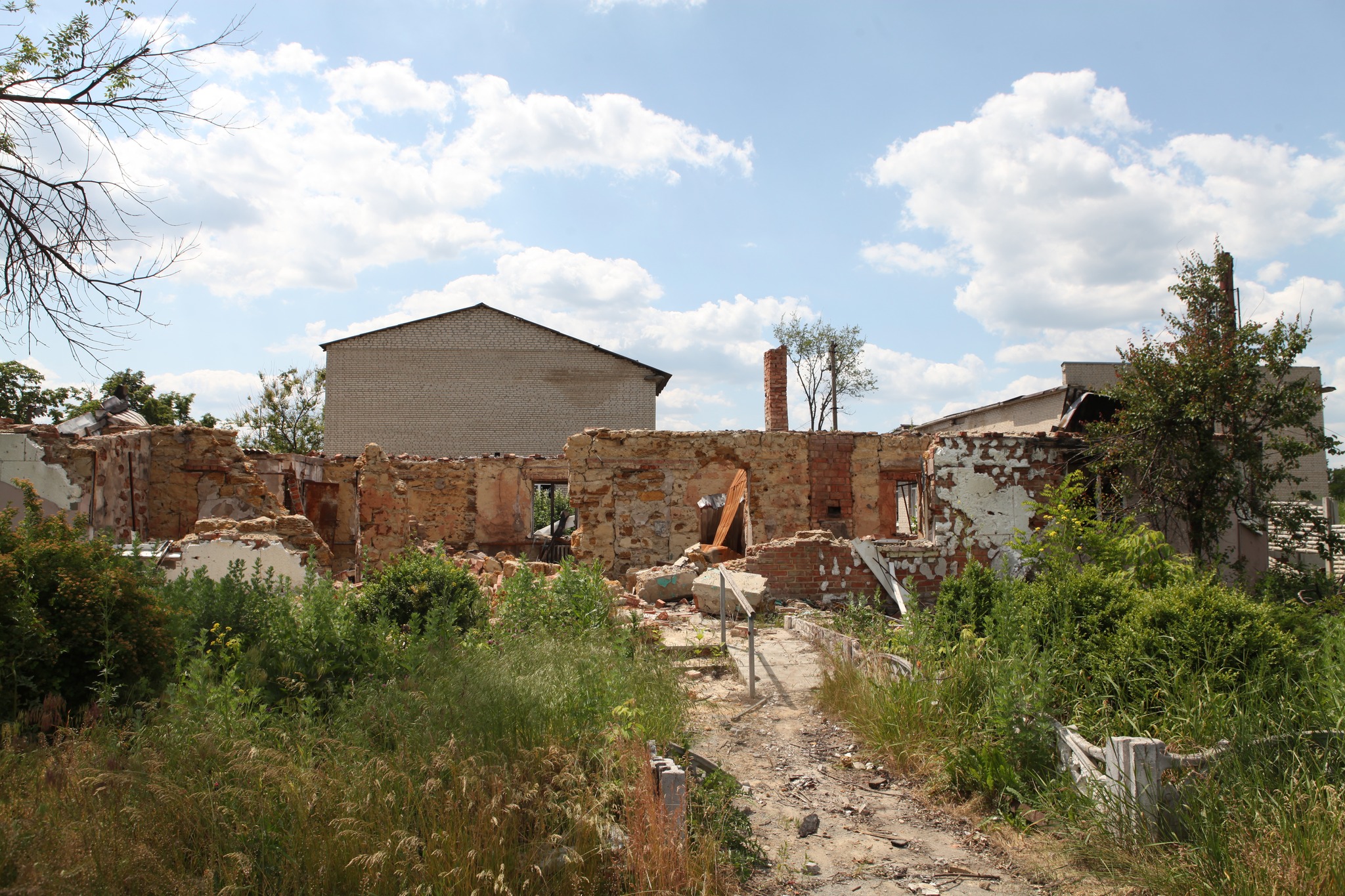 Фото: «Харківобленерго»