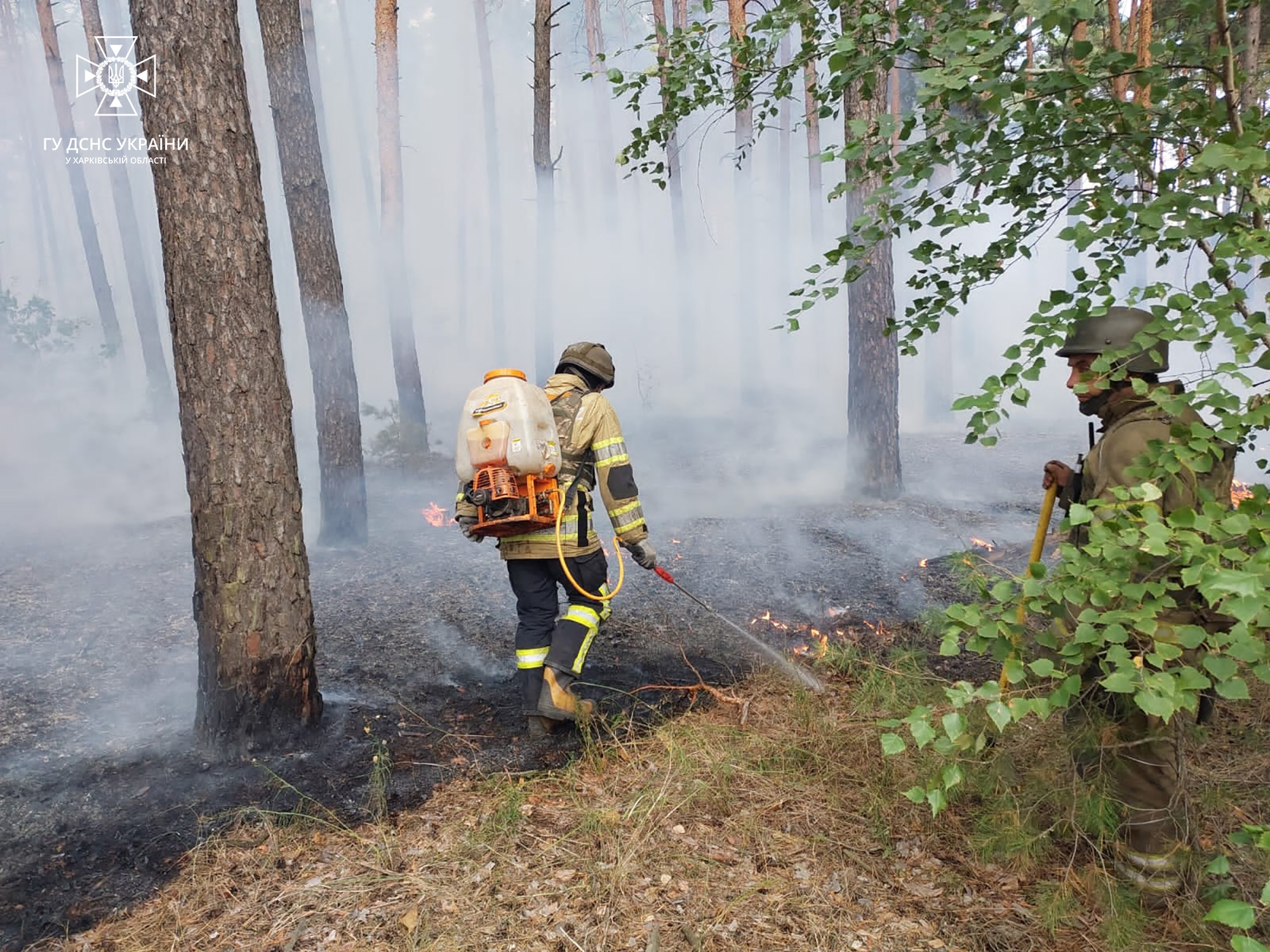 Фото: ГУ ДСНС у Харківській області