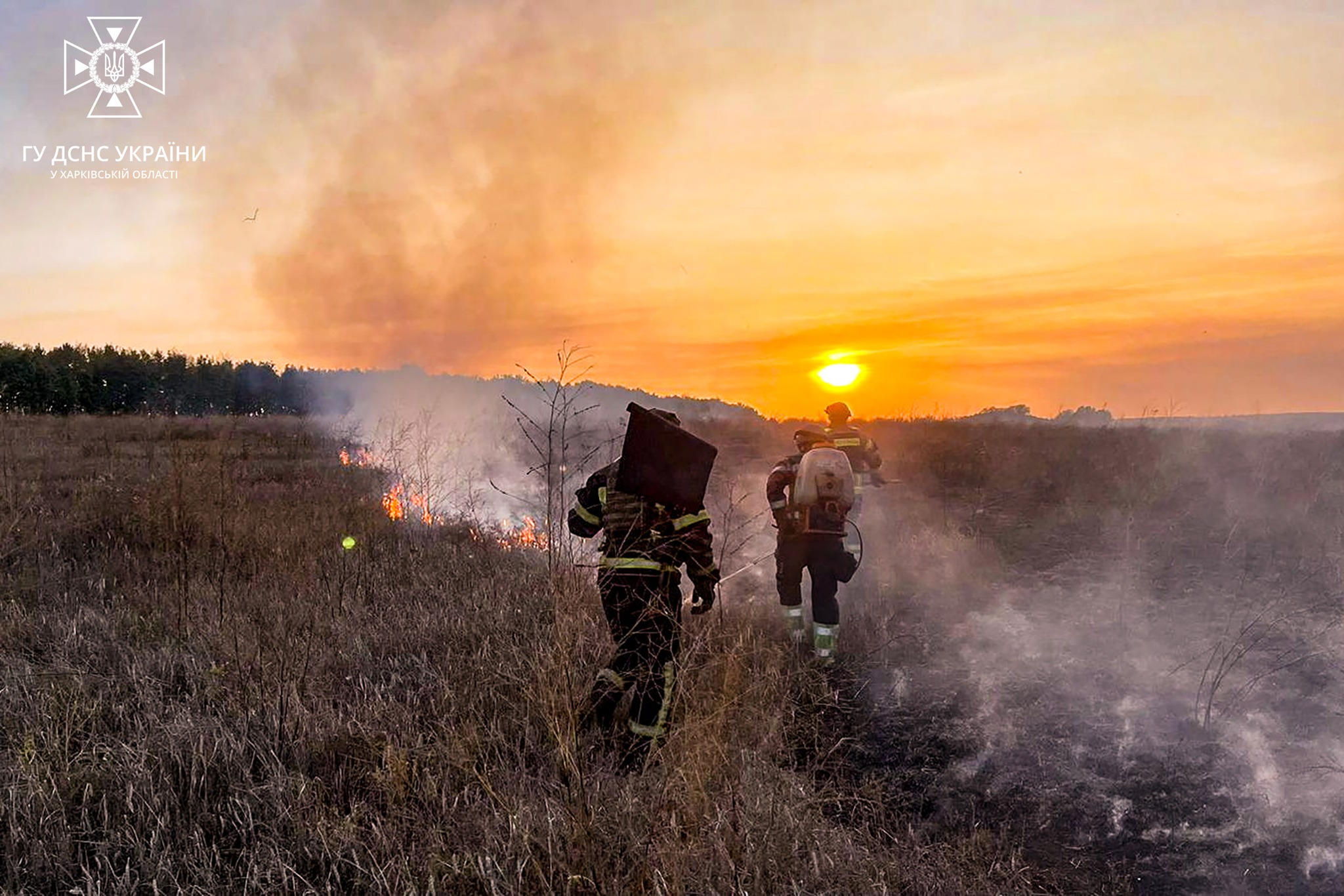 Фото: ГУ ДСНС у Харківській області