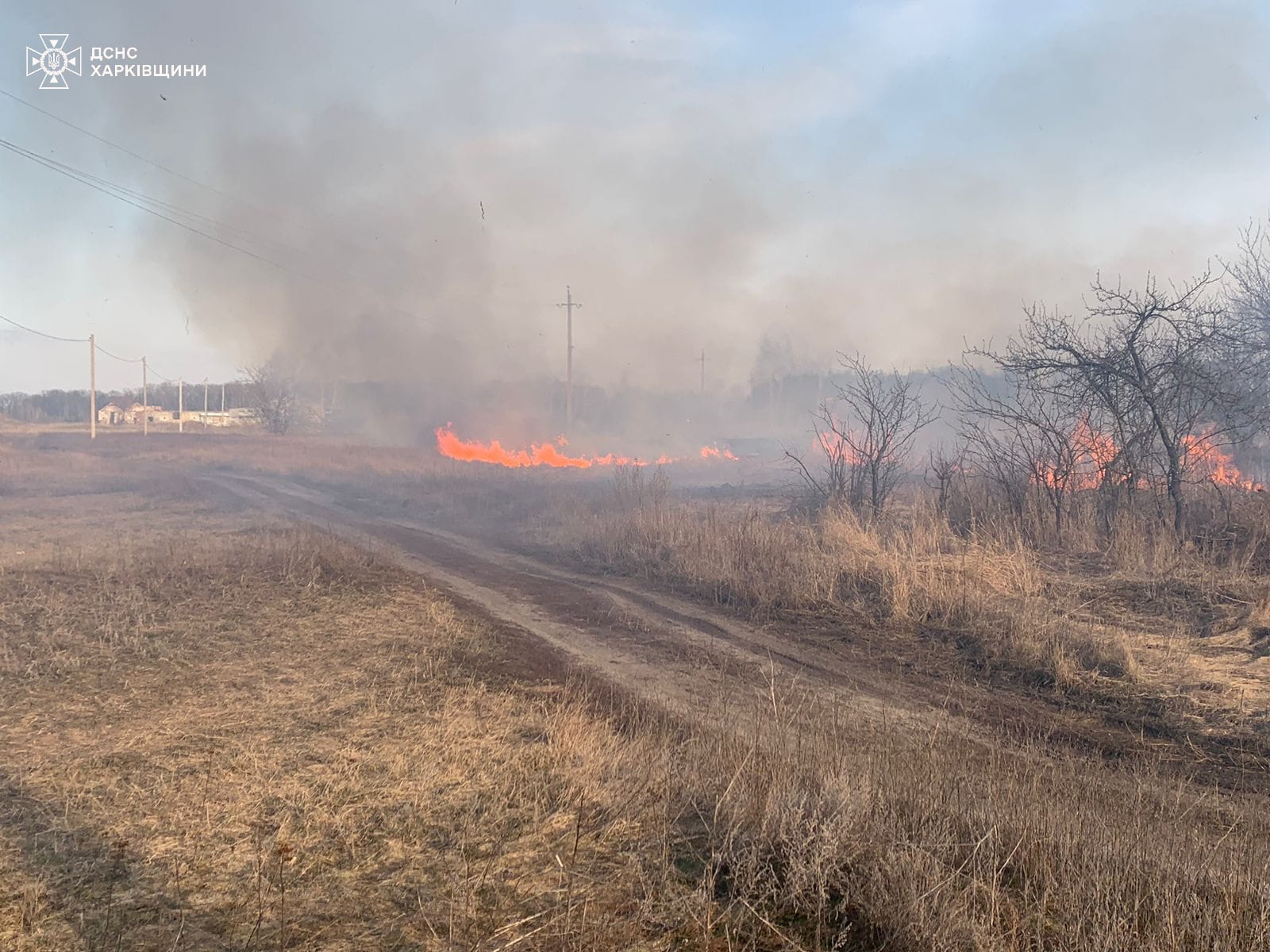 Фото: ГУ ДСНС у Харківській області