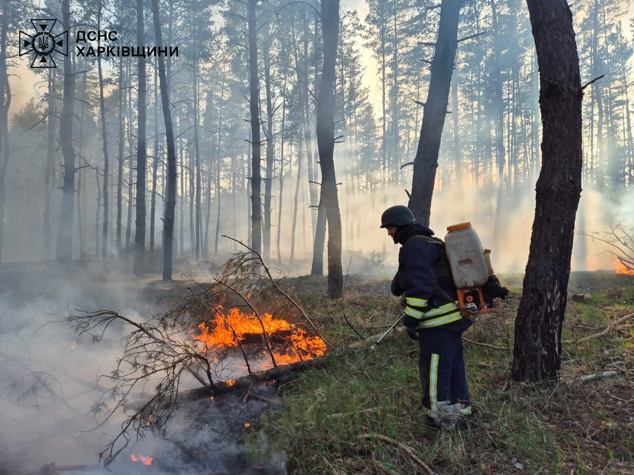 Фото: ГУ ДСНС у Харківській області