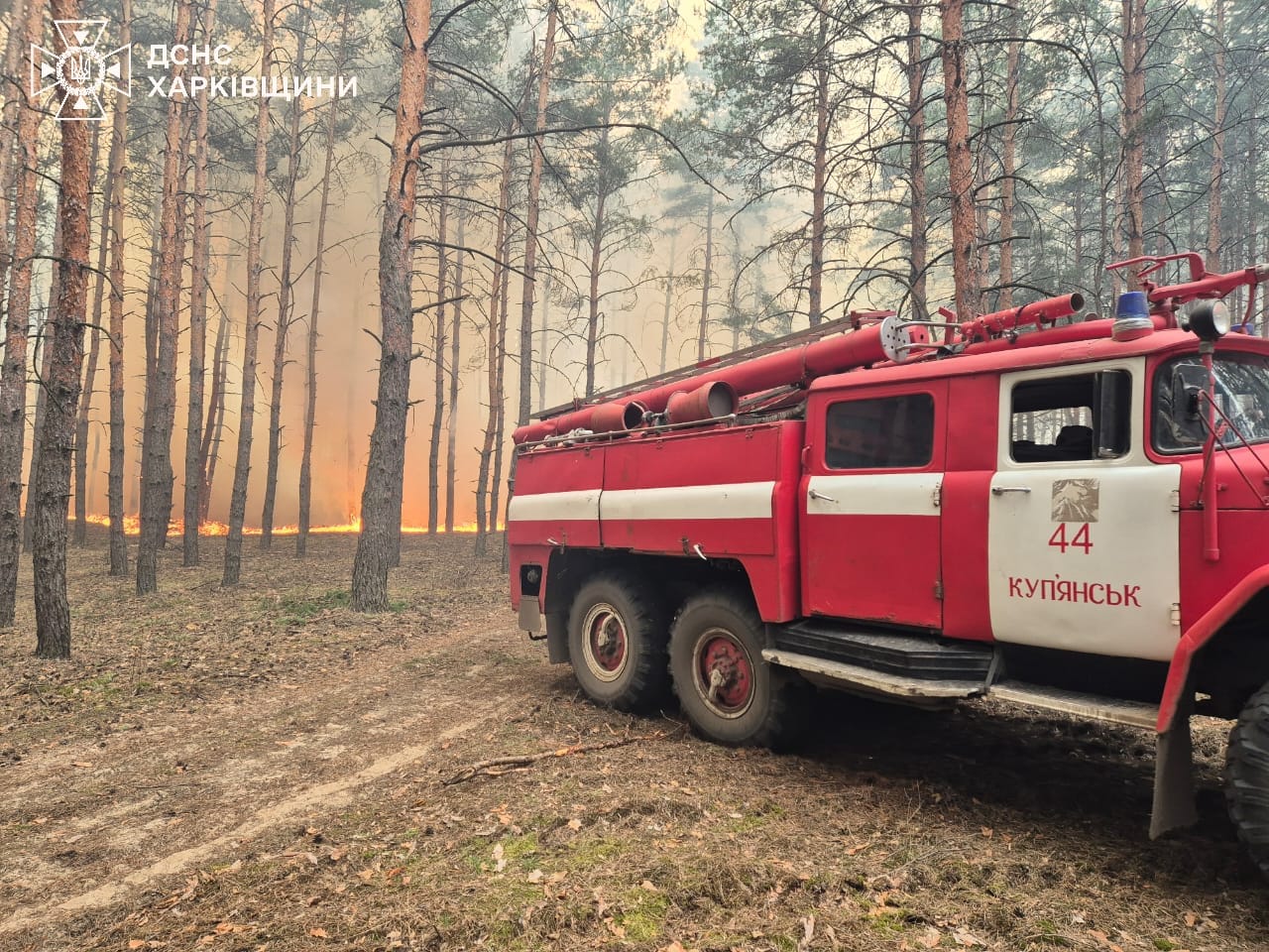 Усі фото — ГУ ДСНС у Харківській області