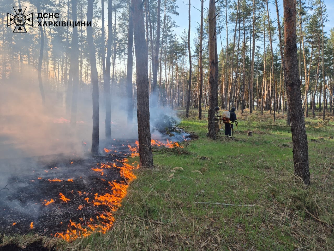 Фото: ГУ ДСНС у Харківській області