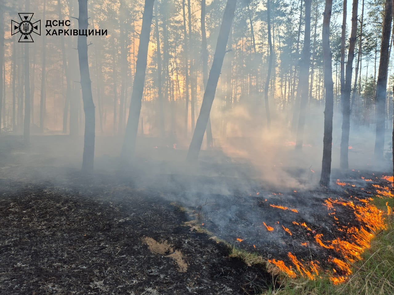 Фото: ГУ ДСНС у Харківській області