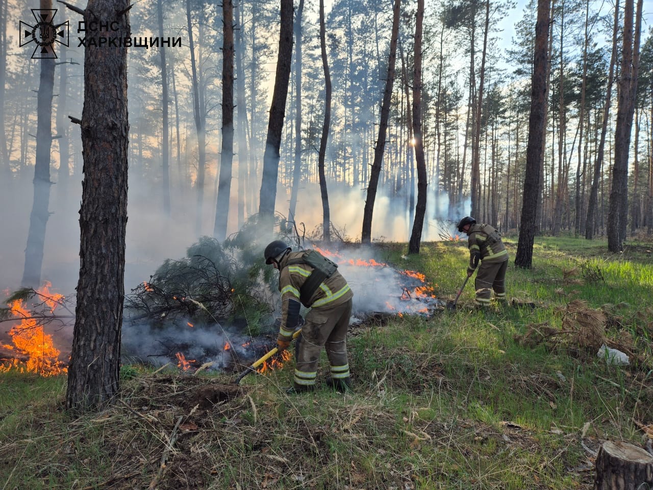 Фото: ГУ ДСНС у Харківській області