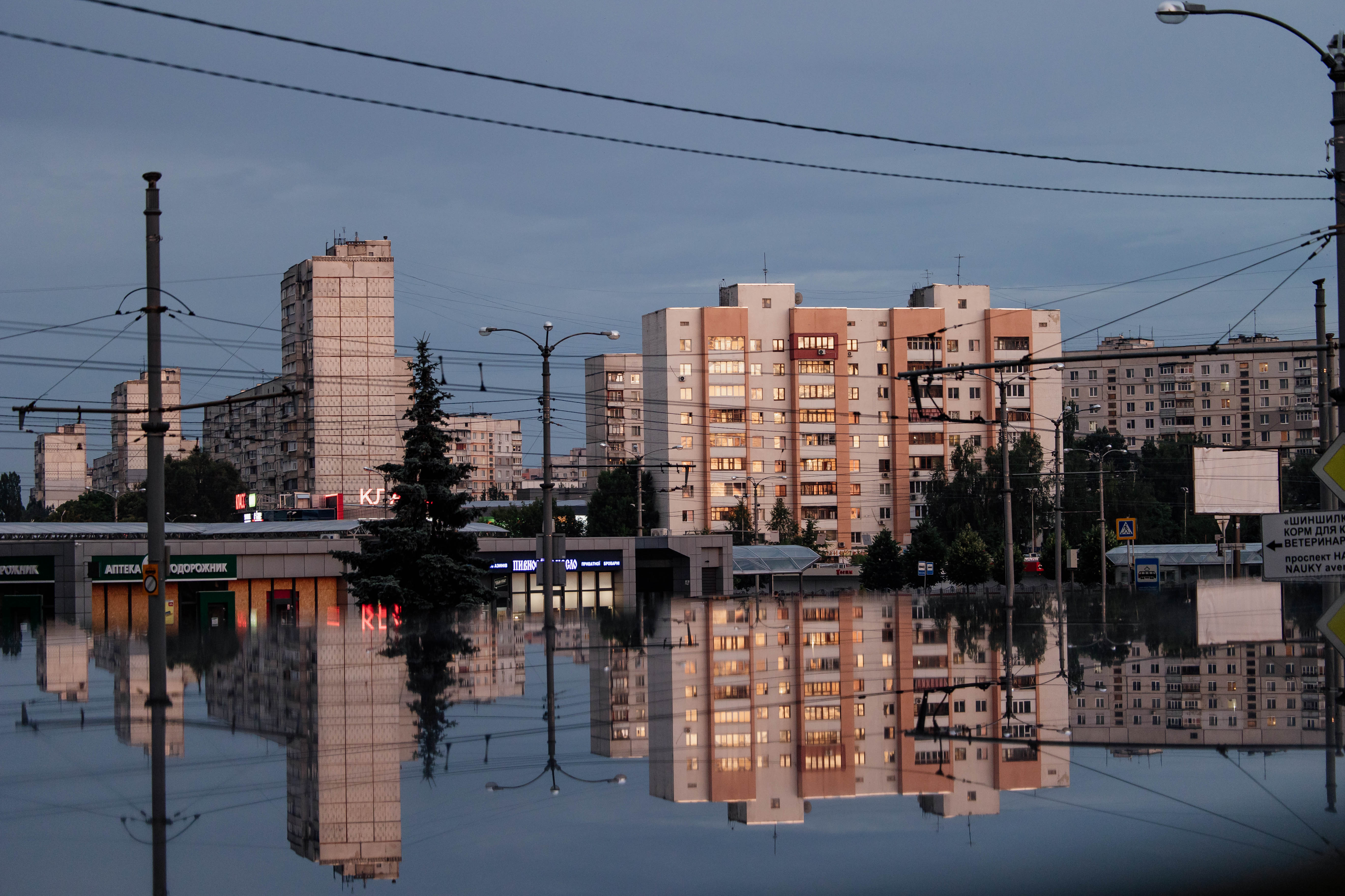 Фото: Дмитро Гайдук