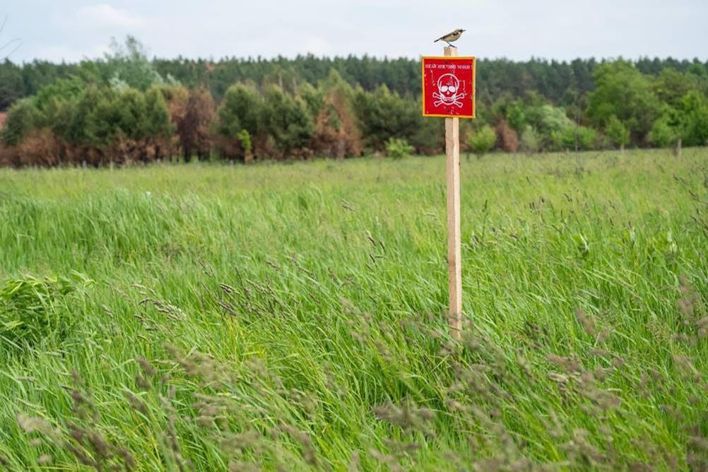 Фото: ФAO/В'ячеслав Ратинський