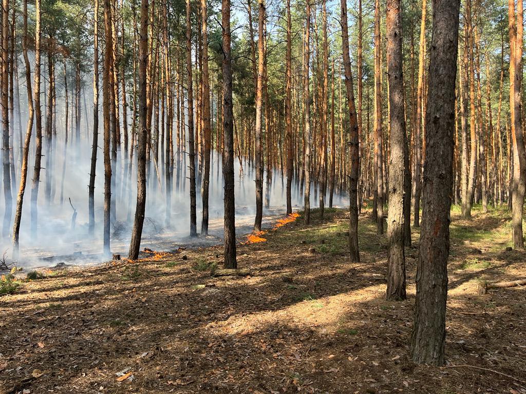 Фото: ГУ ДСНС у Харківській області