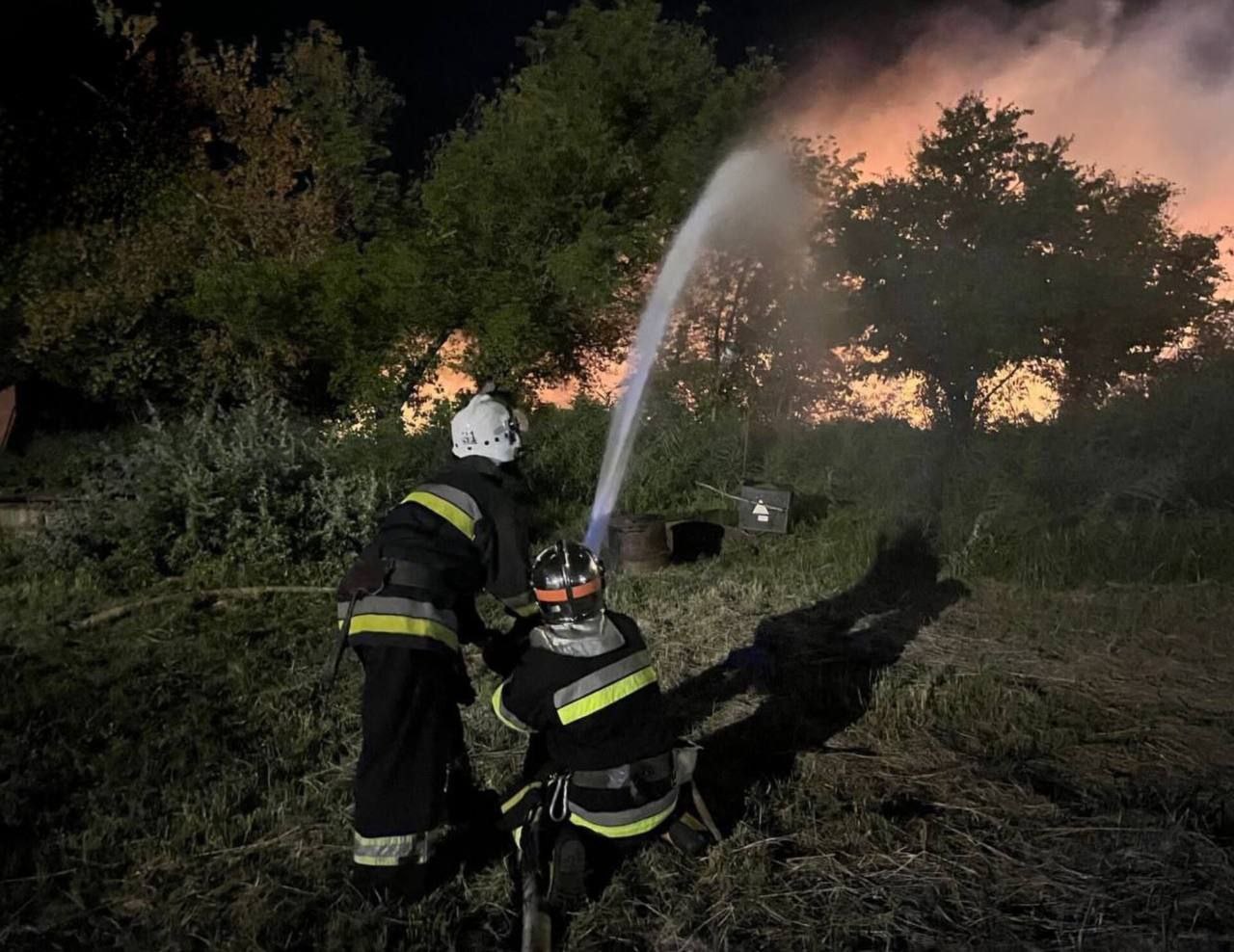 Фото: Сили оборони Півдня