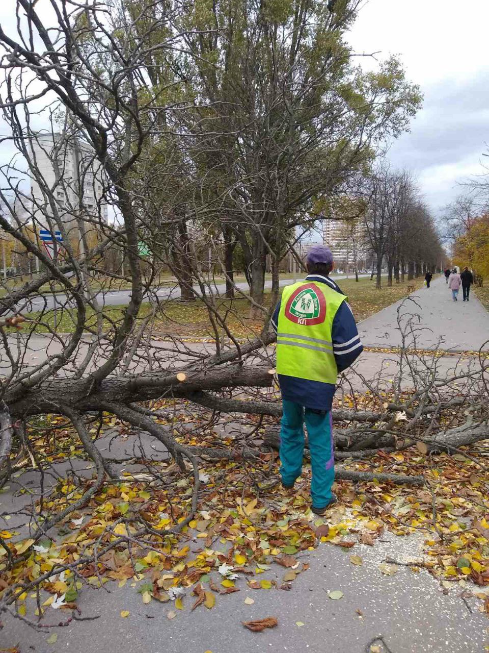 Фото: Харківська міська рада