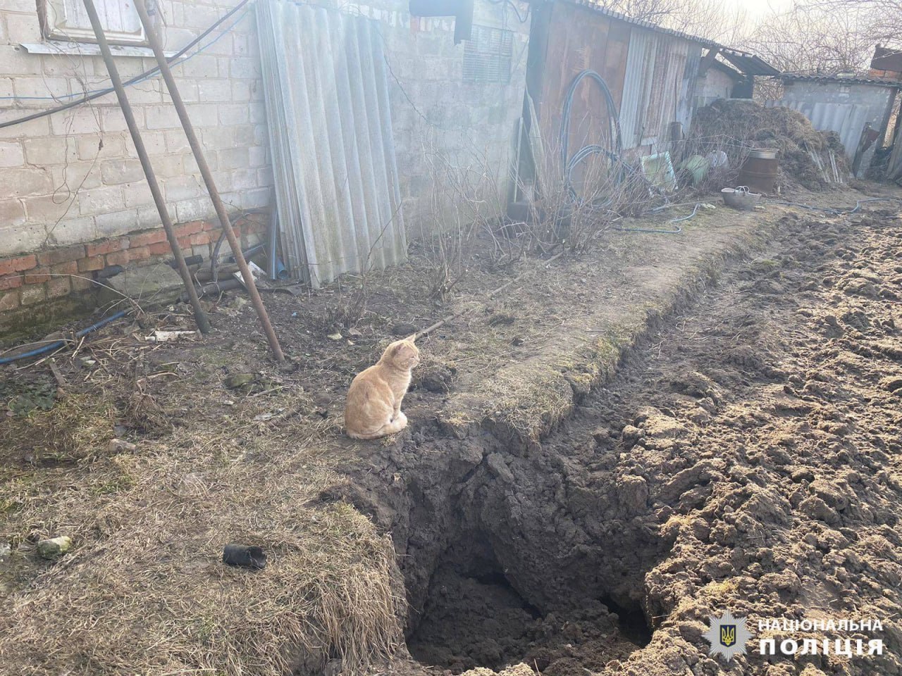 Фото: ГУНП у Харківській області 