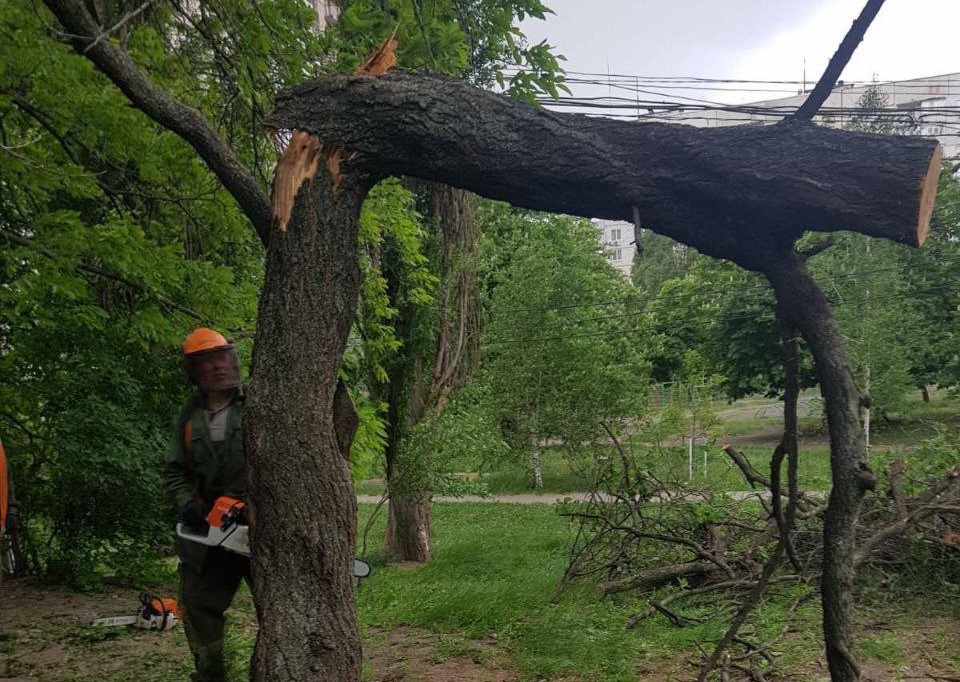 Фото: Харківська міська рада