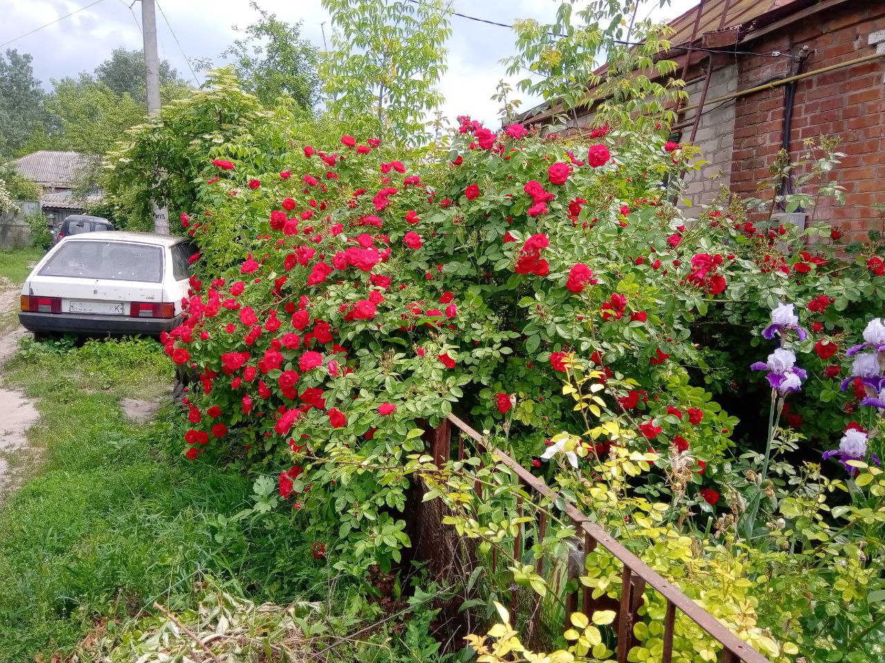 Фото Ольги Познякової