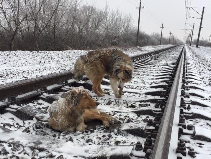 Фото: Денис Малафеев, Facebook