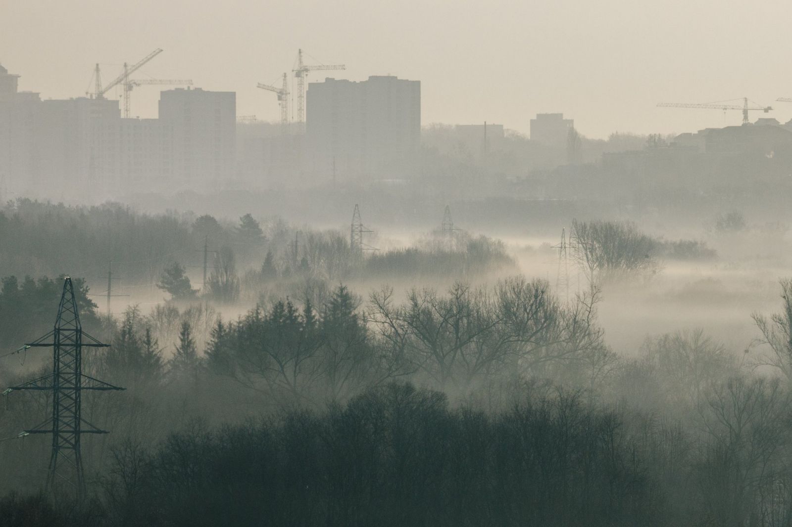 Фото Павла Пахоменка