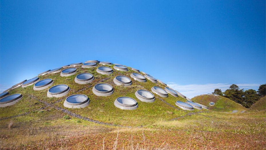 Каліфорнійська академія наук у Сан-Франциско, США (Фото California Academy of Sciences)