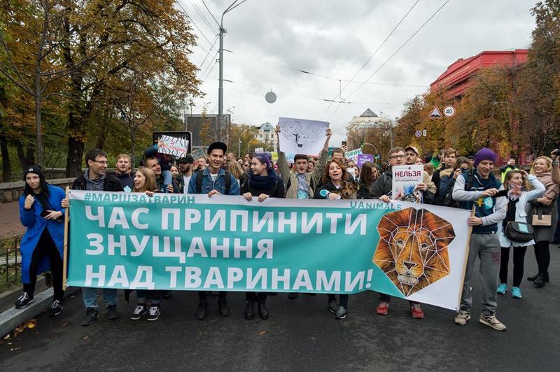 Фото: Facebook/UAnimals, Андрей Кузьмин 