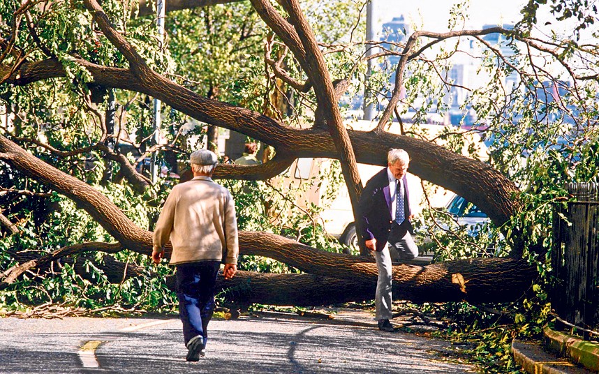 Последствия Великого шторма, 1987 год. Фото:  REX FEATURES