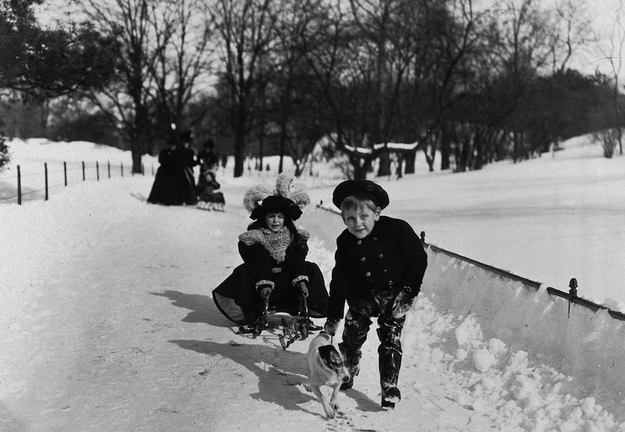 Центральный парк в 1896 году. Фото: Museum of the City of New York/Byron Collection / Getty Images