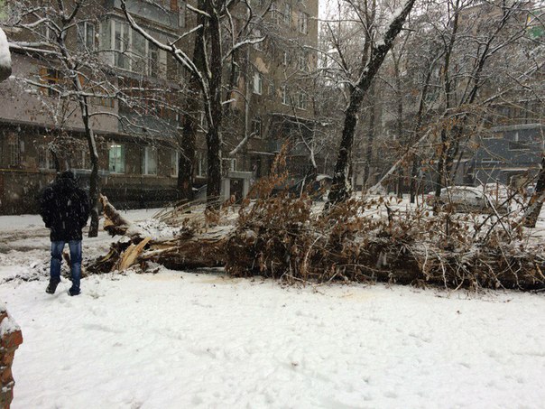 Фото: Типичный Харьков, vk.com/only_kharkov