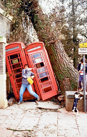 Последствия Великого шторма, 1987 год. Фото:  REX FEATURES