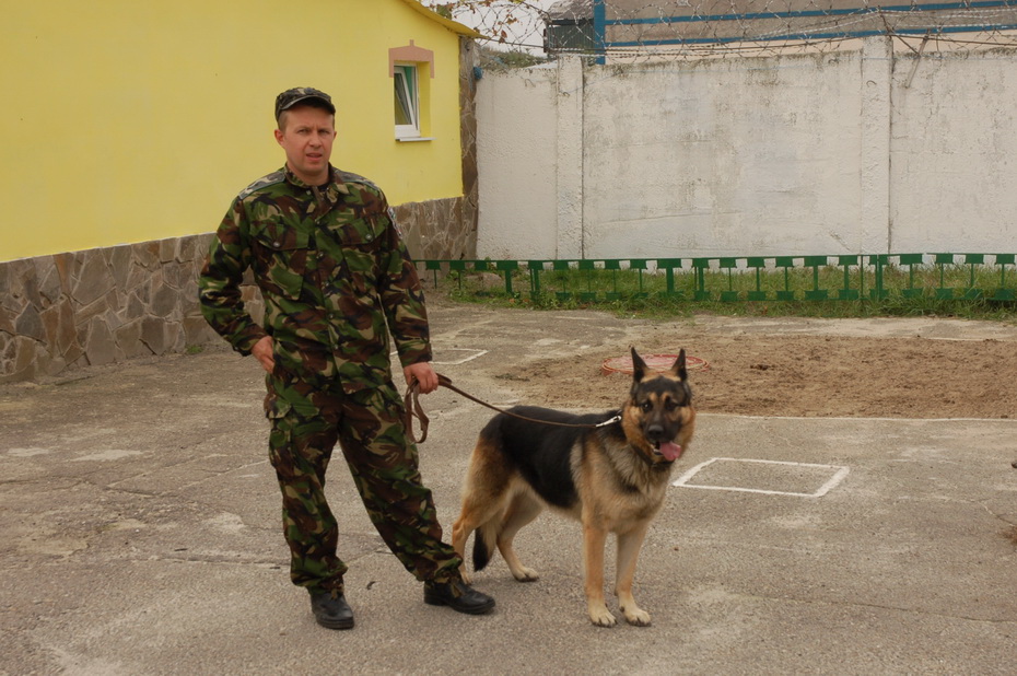 Собаки в питомнике ИК №100