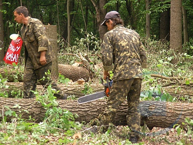 Зображення до:  Харьковчане негативно оценивают строительство дороги через Лесопарк – институт Горшенина