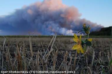 Зображення до:  Клюев боится повторения взрывов в Лозовой