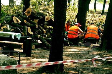 Зображення до:  Стройка дороги в Лесопарке продолжается. «Под нож» сегодня попали деревья возле переезда (фото)