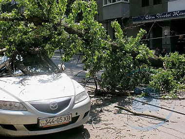 Зображення до:  Тополь накрыл автомобиль Mazdа в центре города (подробности, фото, видео)