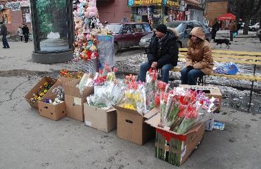 Зображення до:  Цветочная лихорадка (фото)