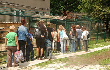 Зображення до:  Логотип зоопарка выберут на конкурсе