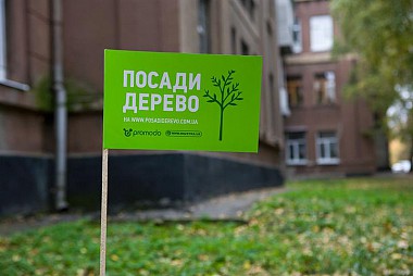 Зображення до:  400 деревьев достанутся Дзержинскому району