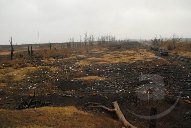 Зображення до:  В Лозовой на снаряде подорвался сапёр (дополнено)