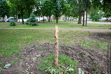 Зображення до:  Ночью в Харькове ломали скамейки, урны и деревья