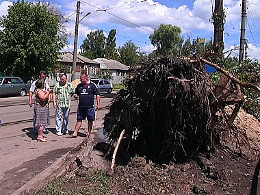 Зображення до:  Тополь сломал газопровод. Пострадала харьковчанка