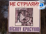 Зображення до:  Лес для избранных. Охота в Украине становится забавой для элиты (спецрепортаж)