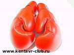 Article «Золотой» урожай собрали харьковчане на международном турнире по боксу