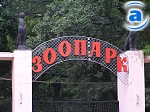 Зображення до:  Своими звонками харьковчане «согреют» антилоп и бегемотов