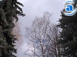 Зображення до:  Новогодняя ночь, скорее всего, будет морозная и бесснежная