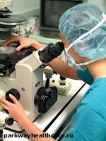 Зображення до:  Искусственное оплодотворение оплатит государство