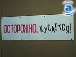 Зображення до:  Столетие Ландау. «Топ» ученых-физиков и классификация женщин великого харьковчанина