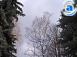Зображення до:  Сегодня и в выходные синоптики прогнозируют штормовой ветер и снегопады
