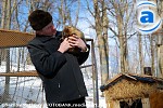 Зображення до:  Фотоновость. Что чувствует сурок в День сурка