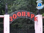 Зображення до:  Вход в зоопарк подорожает. Но только для взрослых