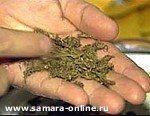 Зображення до:  Троих харьковчан обвиняют в производстве и хранении особо опасного наркотика