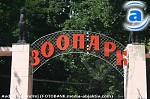 Зображення до:  Харьковский зоопарк приютит голодающего медведя из Черниговской области