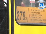 74389