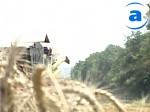 74631