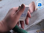 Зображення до:  Власти думают поднять стоимость проезда в трамваях и троллейбусах до 75 копеек